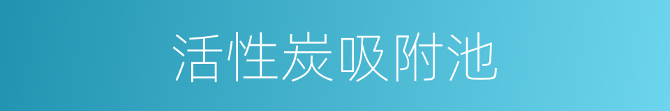活性炭吸附池的同义词