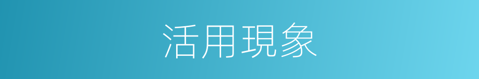 活用現象的同義詞