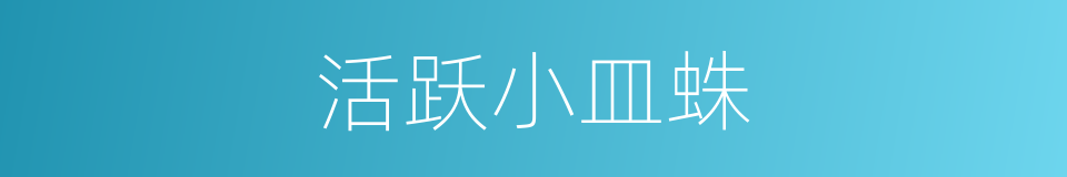 活跃小皿蛛的同义词