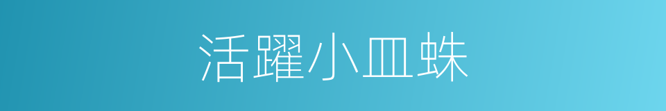 活躍小皿蛛的同義詞