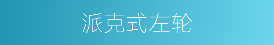 派克式左轮的同义词