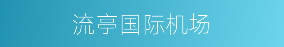 流亭国际机场的同义词