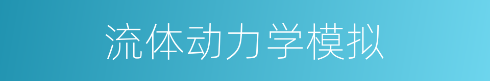 流体动力学模拟的同义词