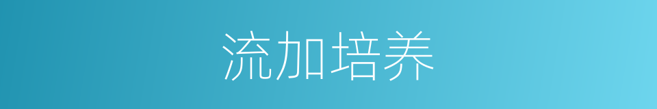 流加培养的同义词