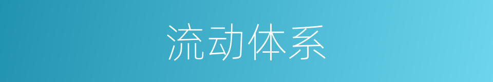 流动体系的同义词