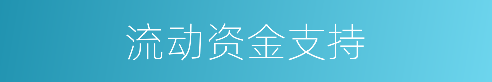流动资金支持的同义词