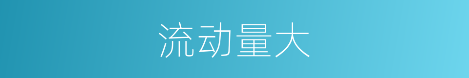 流动量大的同义词