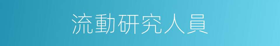 流動研究人員的同義詞