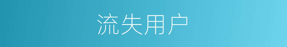 流失用户的同义词