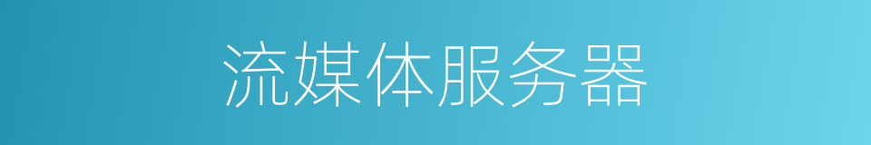 流媒体服务器的同义词