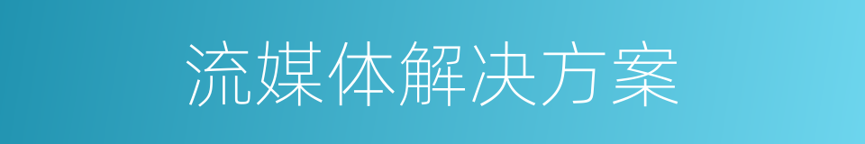 流媒体解决方案的同义词