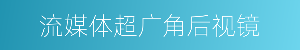 流媒体超广角后视镜的同义词