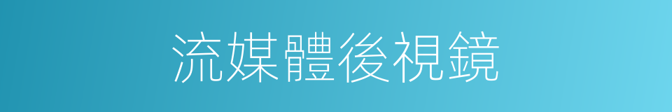 流媒體後視鏡的同義詞