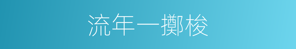 流年一擲梭的同義詞
