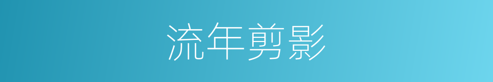 流年剪影的同义词