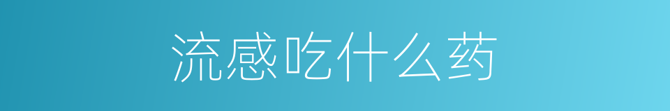流感吃什么药的同义词