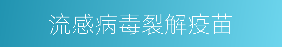 流感病毒裂解疫苗的同义词