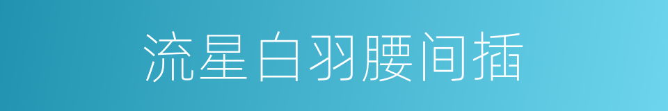 流星白羽腰间插的同义词