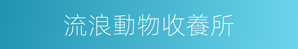 流浪動物收養所的同義詞