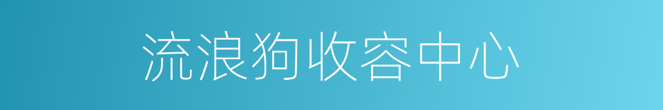 流浪狗收容中心的同义词