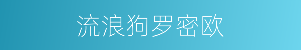 流浪狗罗密欧的同义词