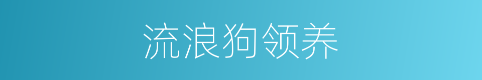 流浪狗领养的同义词