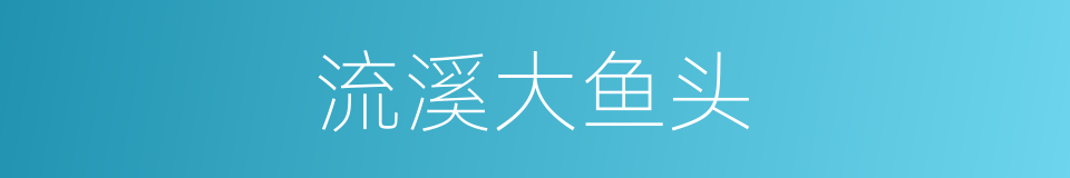 流溪大鱼头的同义词