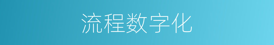 流程数字化的同义词