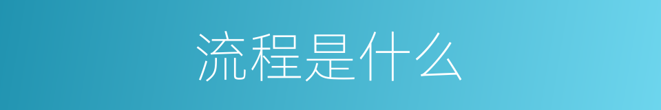 流程是什么的意思