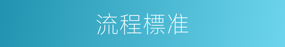 流程標准的同義詞