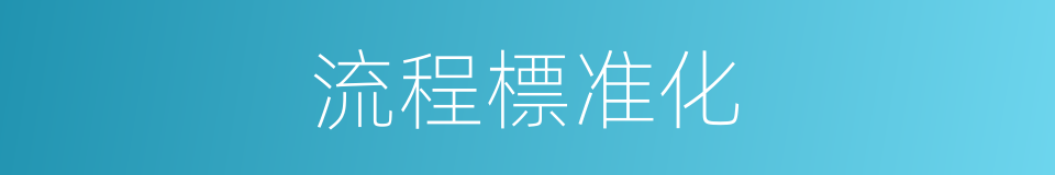 流程標准化的同義詞