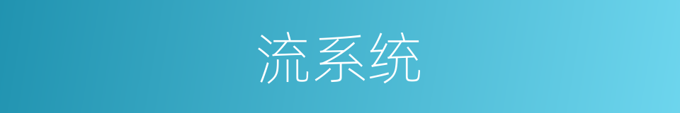 流系统的同义词