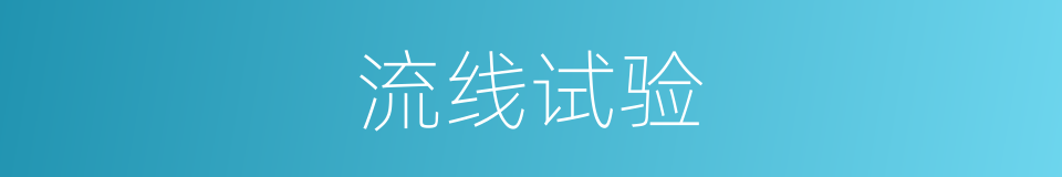 流线试验的同义词