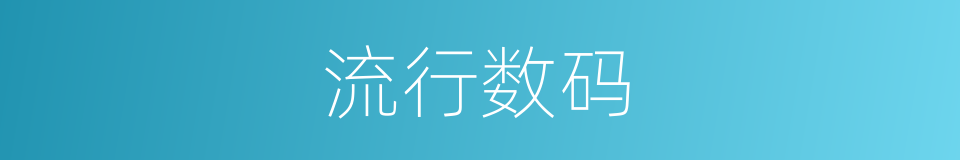 流行数码的同义词