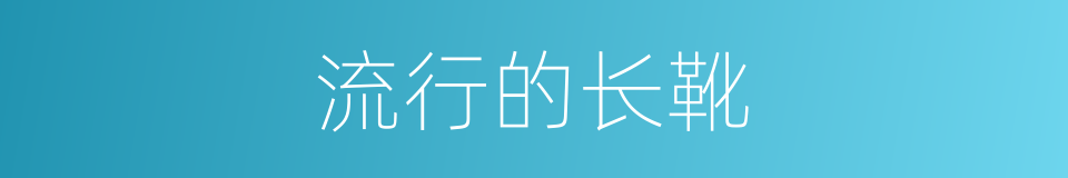 流行的长靴的同义词