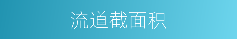 流道截面积的同义词