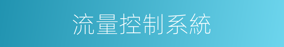 流量控制系統的同義詞