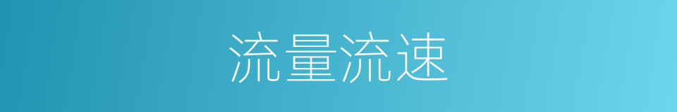 流量流速的同义词