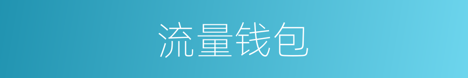 流量钱包的同义词
