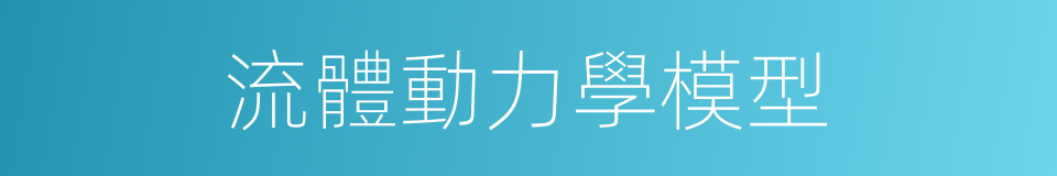 流體動力學模型的同義詞