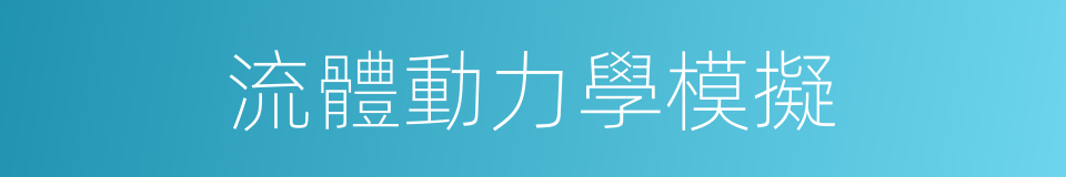 流體動力學模擬的同義詞