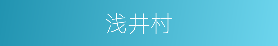 浅井村的同义词