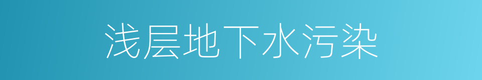 浅层地下水污染的同义词