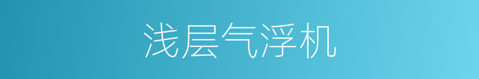 浅层气浮机的同义词