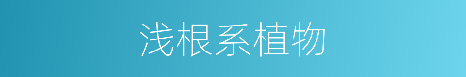 浅根系植物的同义词