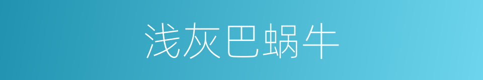 浅灰巴蜗牛的同义词