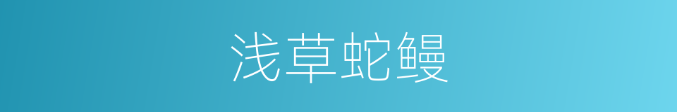 浅草蛇鳗的同义词