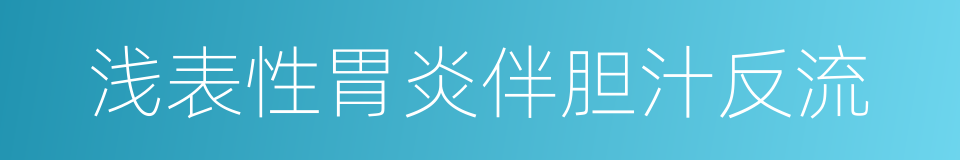 浅表性胃炎伴胆汁反流的同义词