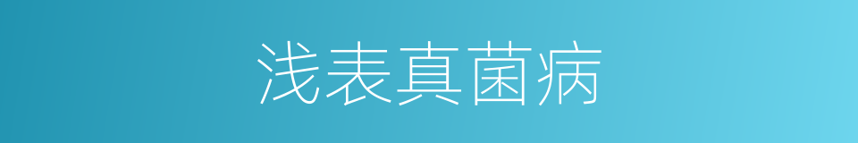 浅表真菌病的同义词