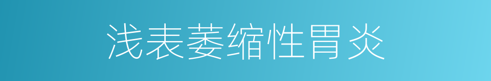 浅表萎缩性胃炎的同义词